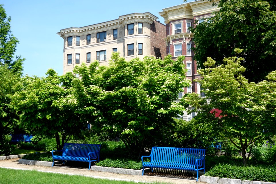 Ramler Park - Boston, MA - DSC06984