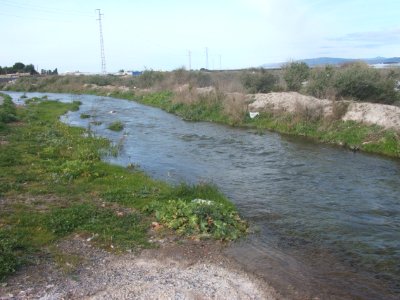 RamblaElCañuelo