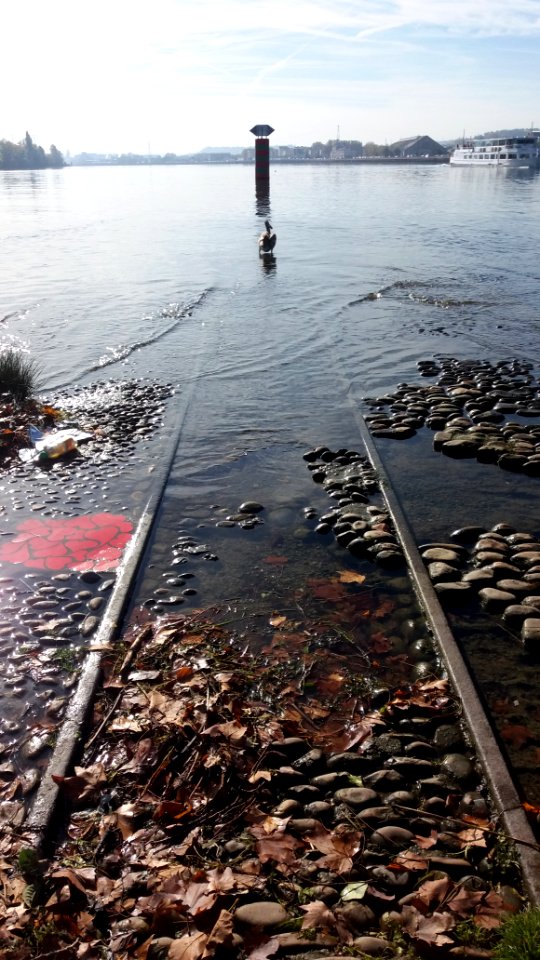 Rails de l'ancien barrage-écluse de la Mulatière