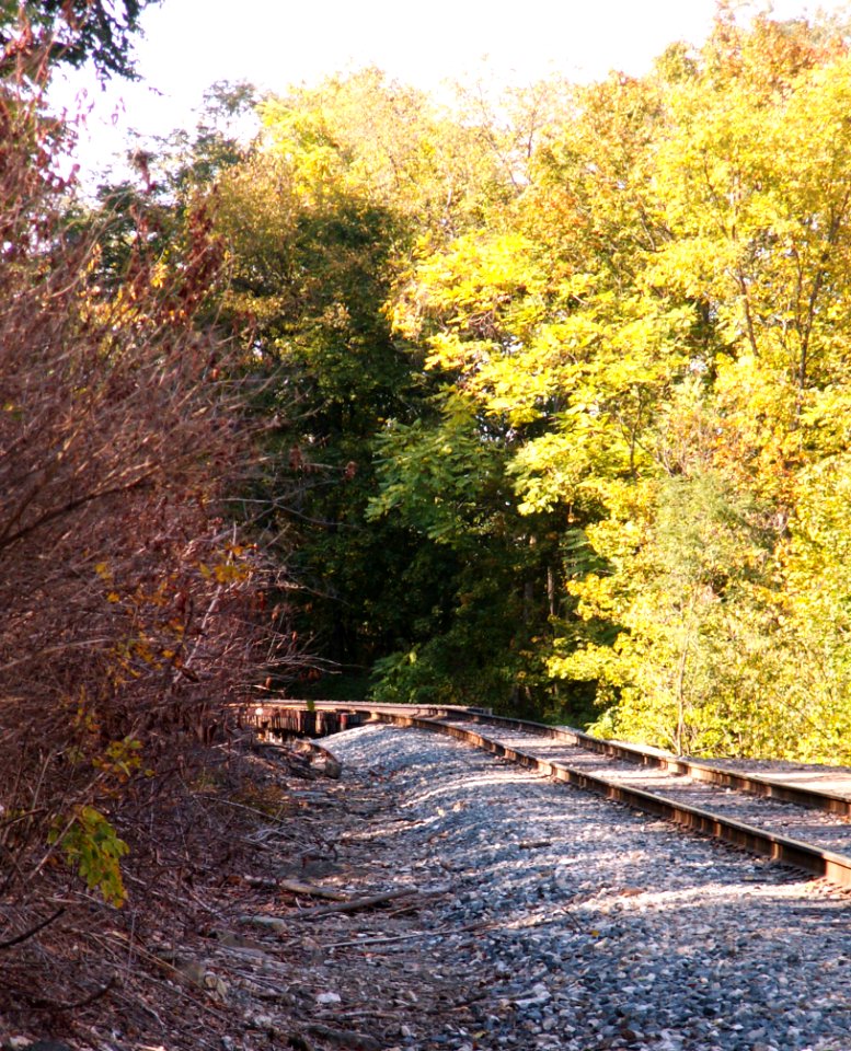 Railroad, Seldom Seen, 2020-10-09, 01