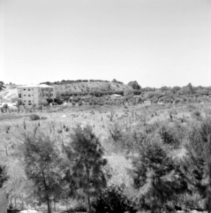 Ramat Goan Napoleonsheuvel met bebouwing, Bestanddeelnr 255-3806