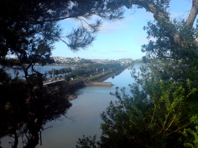 Rail Line Looking East From Parnell Ridge