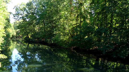 Rahway River Cranford NJ view from footbridge