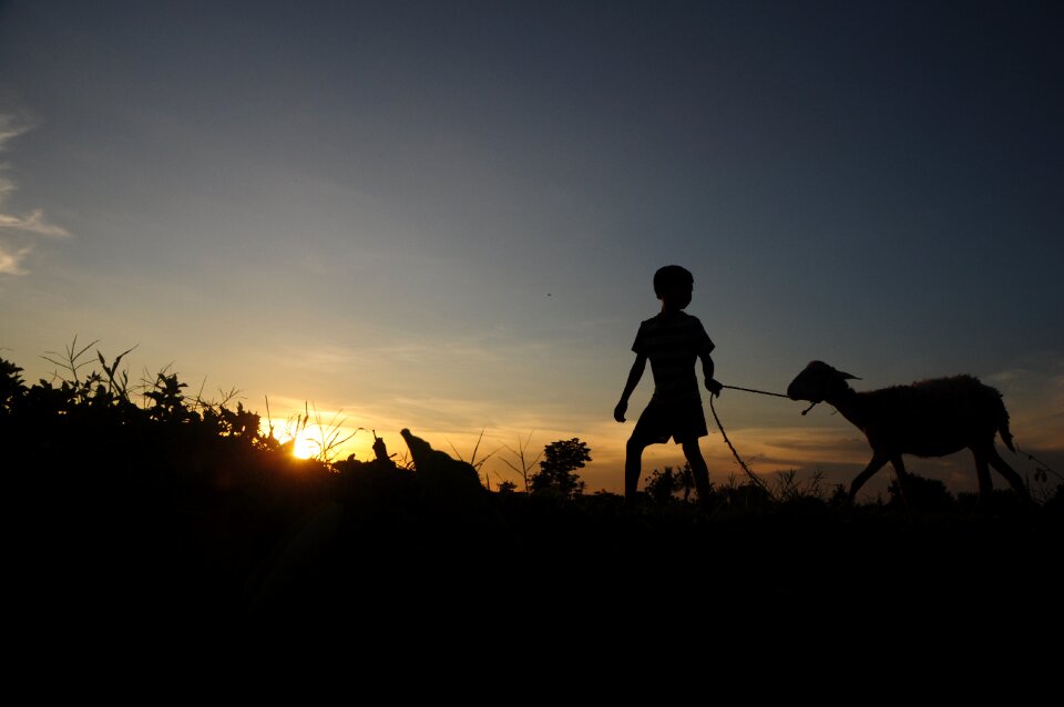 Kids sunset afternoon