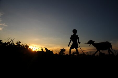 Kids sunset afternoon