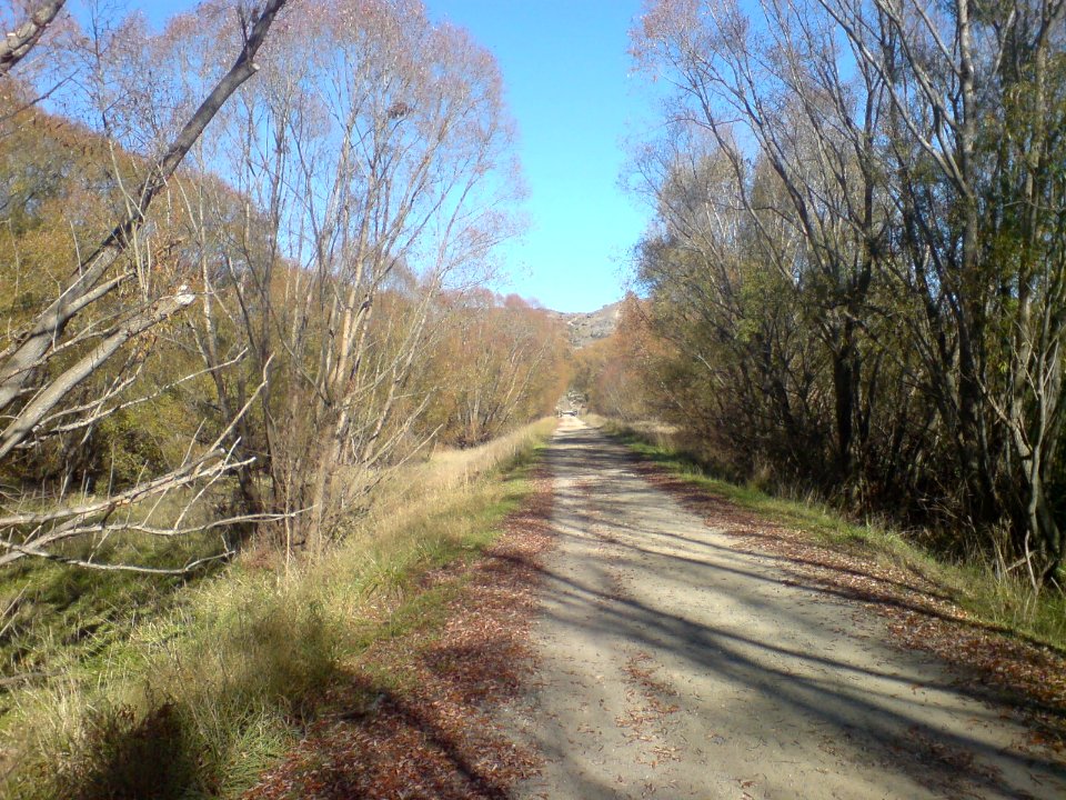 Rail Trail Near Tucker Hill Road, Part II