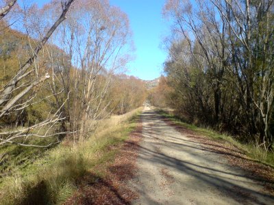 Rail Trail Near Tucker Hill Road, Part II photo