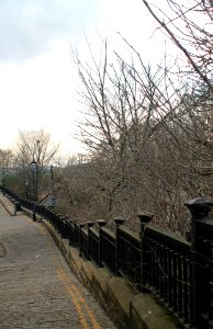 Railings Between Victoria Road And Albert Road
