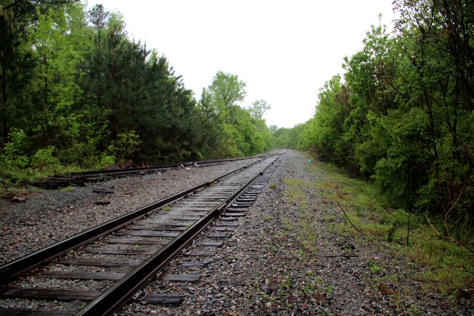 Railroad Tracks, Whittier Mill Village, Atl GA April 2018
