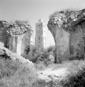 Ramle Ruines van de Witte Moskee met zicht op de Witte Toren die gotische kenme, Bestanddeelnr 255-3855