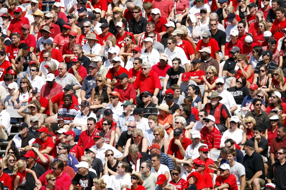 Sports fans fans stadium crowd