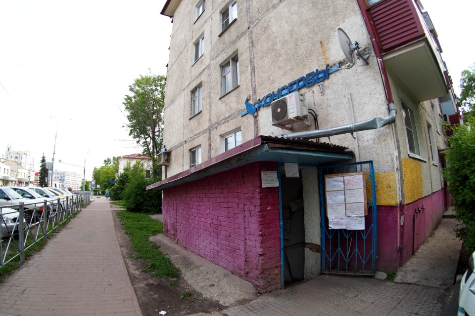 Ramenskoe 2020-05 9