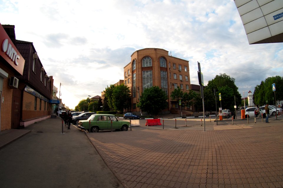 Ramenskoe 2020-05 5