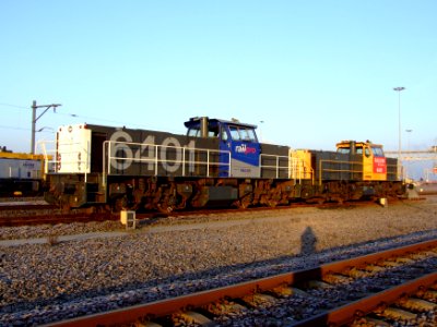 Railion 6401 and 6409 pic1