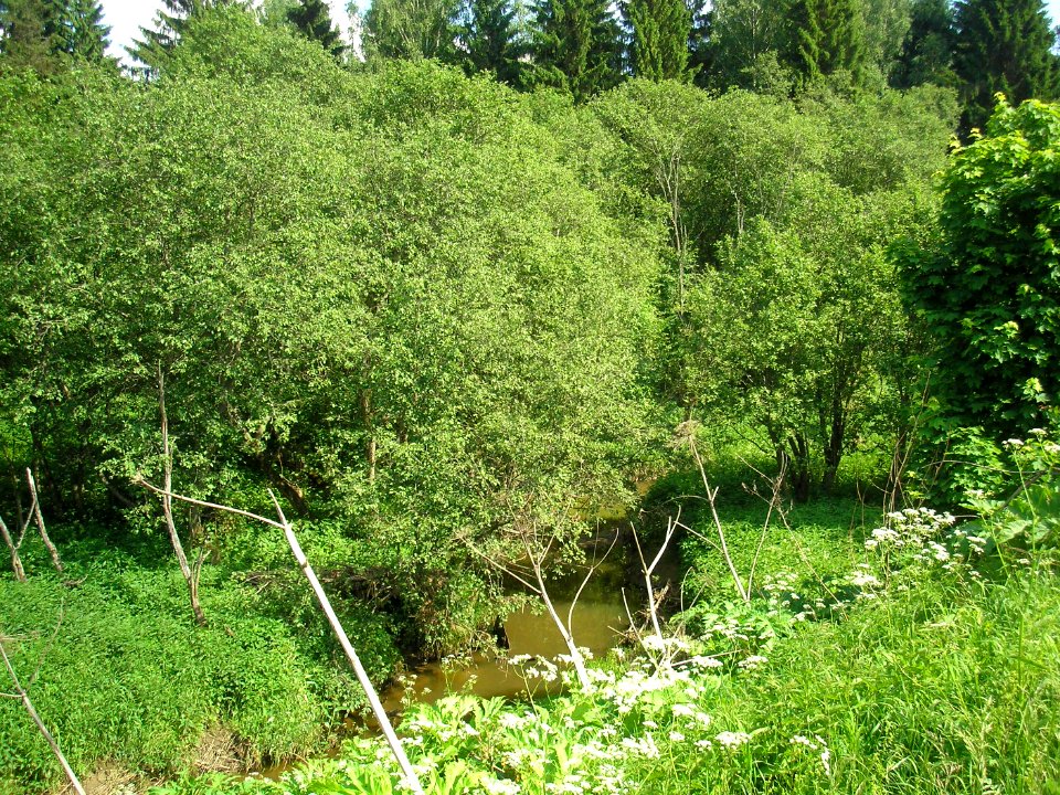 Ramenka Istra 1