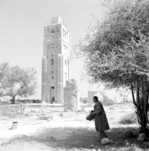 Ramle Ruines van de Witte Moskee met zicht op de Witte Toren die gotische kenme, Bestanddeelnr 255-3858