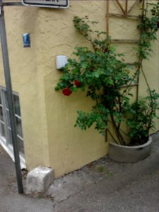 Radabweiser Eichstätt Webergasse–Büttelgasse 9 (3)