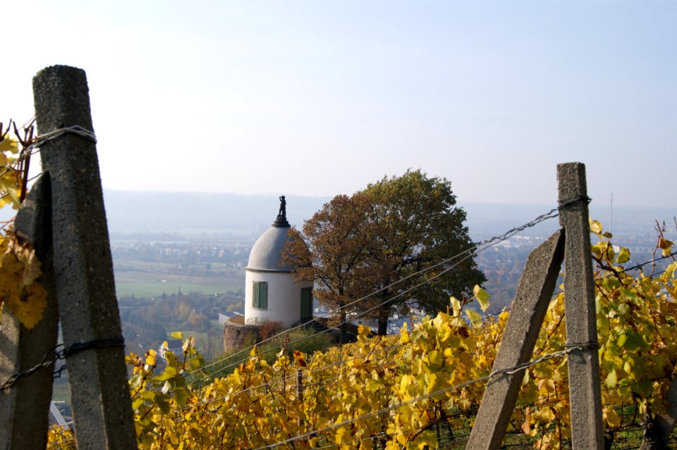 Radebeul Jacobstein Herbst