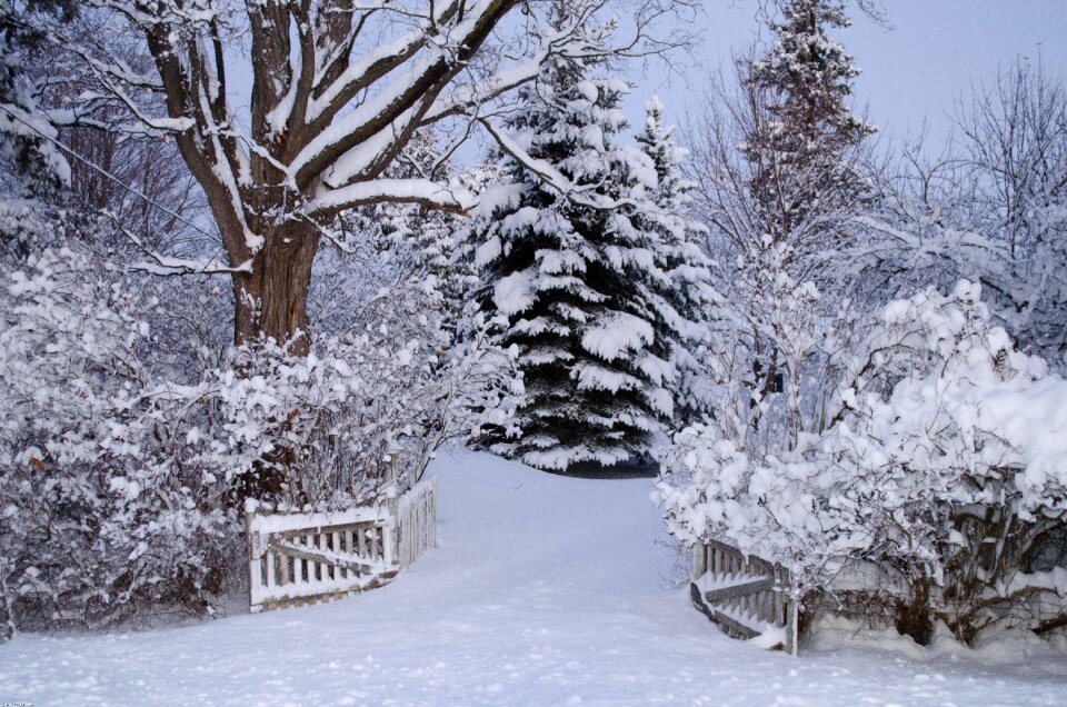 Winter wonderland snow egbert