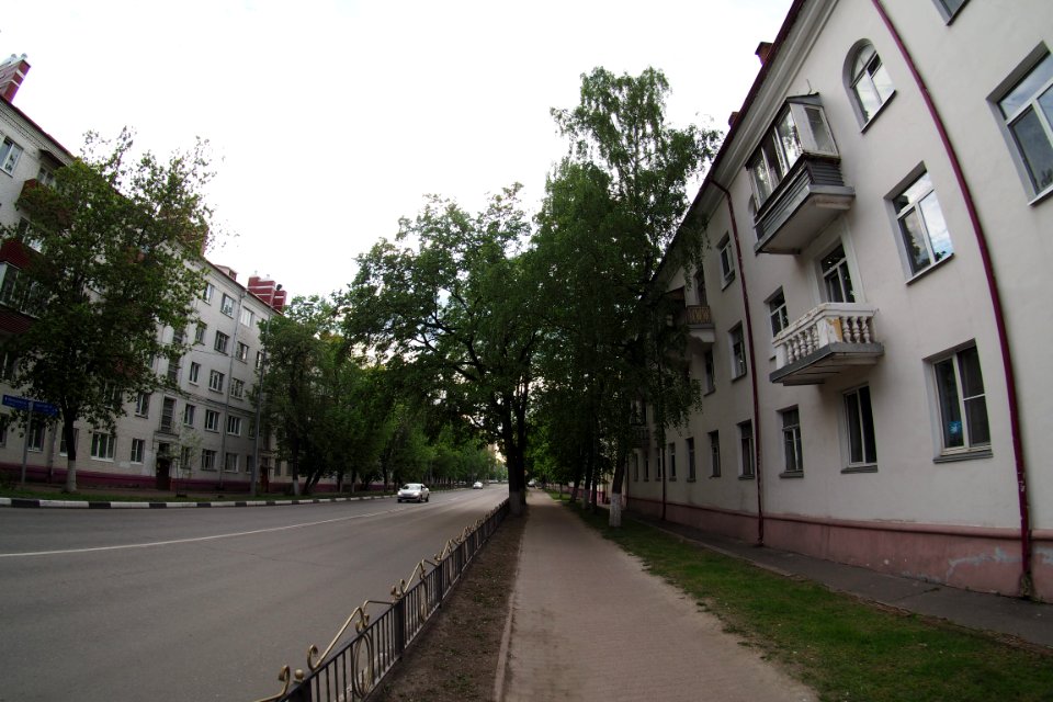 Ramenskoe 2020-05 4