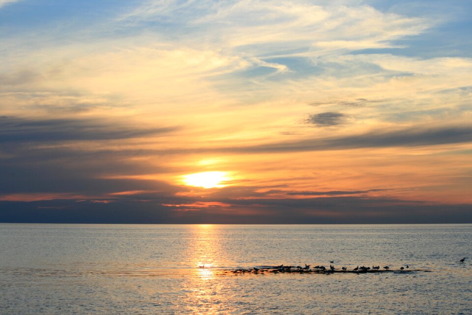 Beach nature landscape