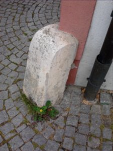 Radabweiser Eichstätt PPJ-Platz (Domplatz 16) (1)