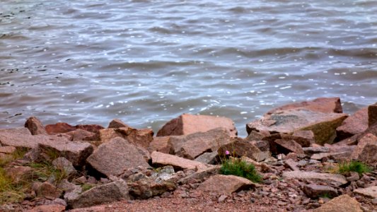 Rain on Sandvik shore 3
