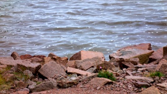 Rain on Sandvik shore 3 photo