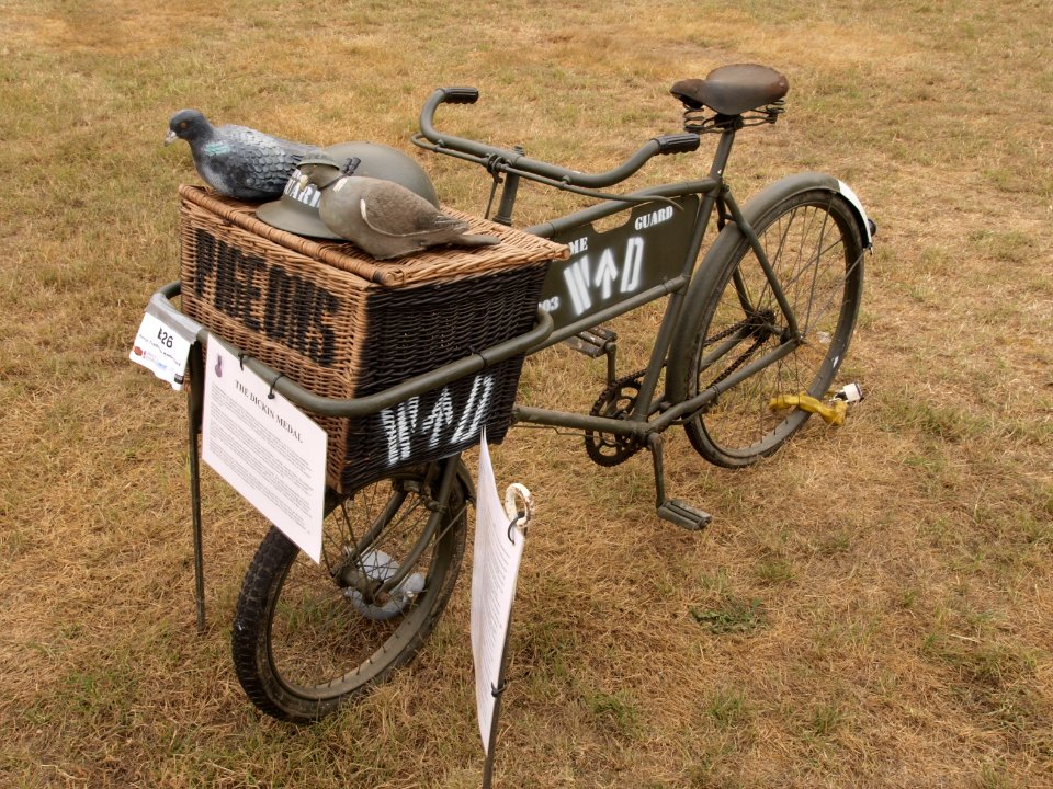 Raleigh Trades Home guard bike pic2
