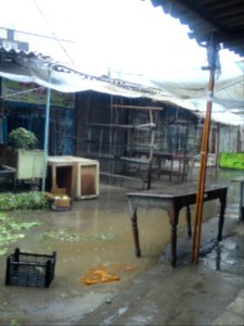 Rainy day of Nowruz - Nishapur 2