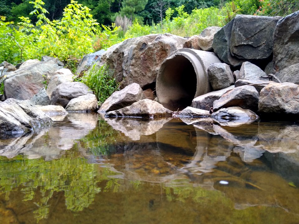 Rainwater drainage pipe in Chapel Hill
