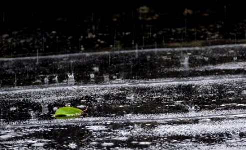 Rain splashes on rooftop with leaf 1
