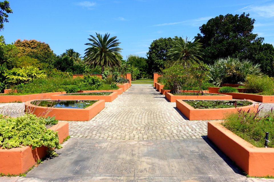 Raised beds and pools - Fruit and Spice Park - Homestead, Florida - DSC09112