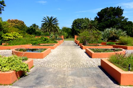 Raised beds and pools - Fruit and Spice Park - Homestead, Florida - DSC09112