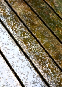 Rain on wooden floor photo