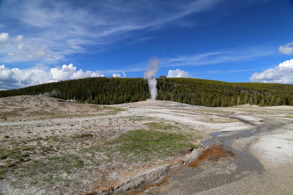 Geyser yellowstone national park the scenery