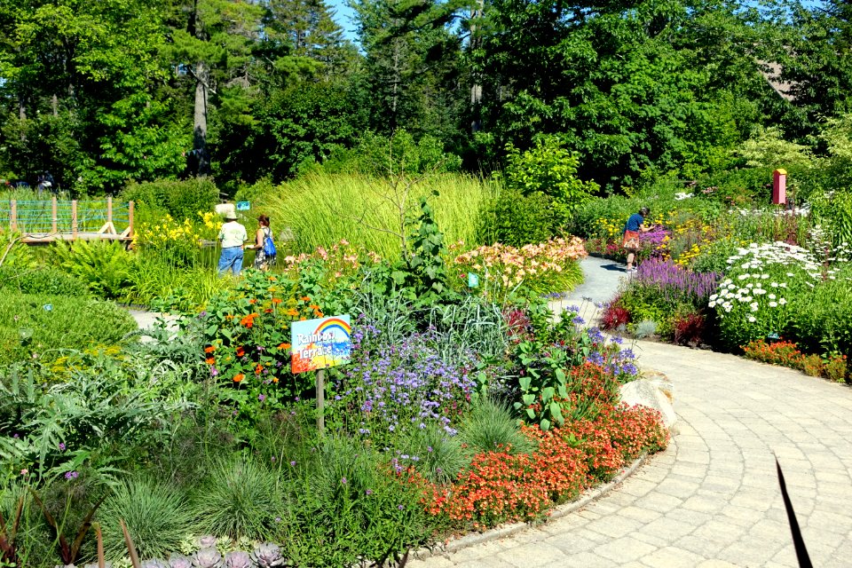 Rainbow Terrace - Coastal Maine Botanical Gardens - DSC03304