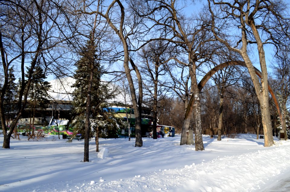 Rainbow Stage and timber arch in Kildonan Park, Winnipeg Manitoba