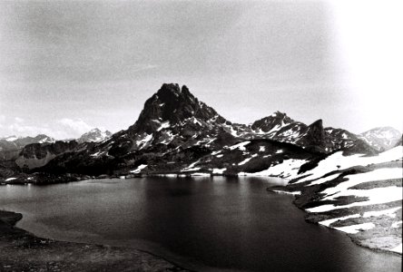 Pyrénées Argentique Noir Et Blanc (215343271)