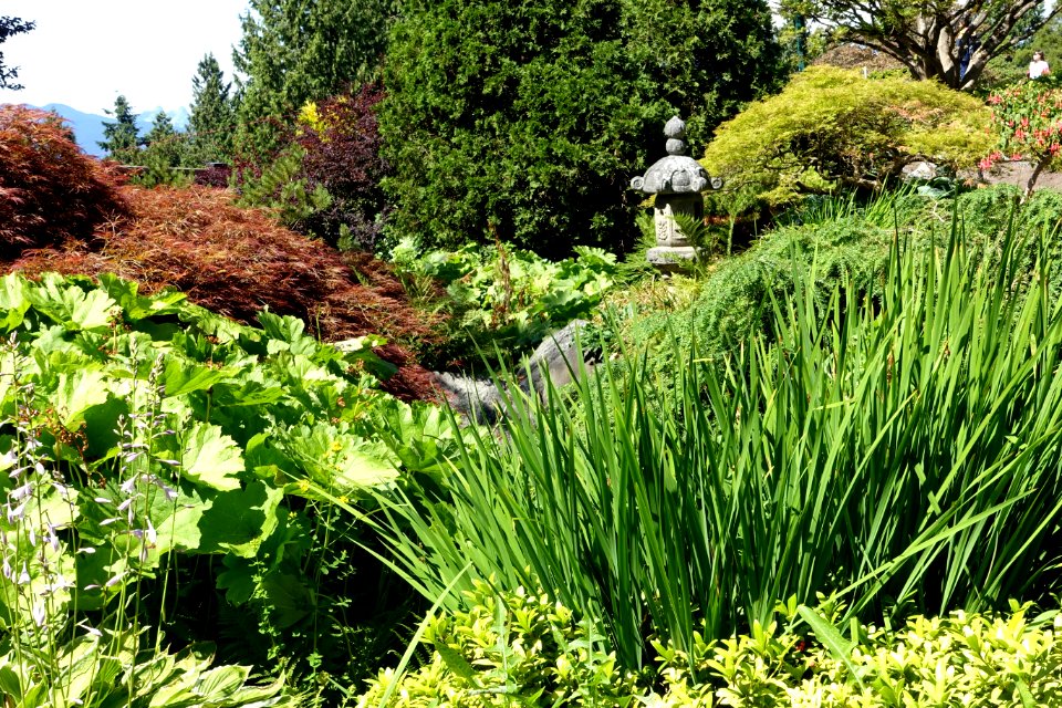 Queen Elizabeth Park - Vancouver, Canada - DSC07465