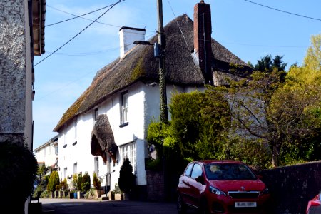 Pynes Cottage