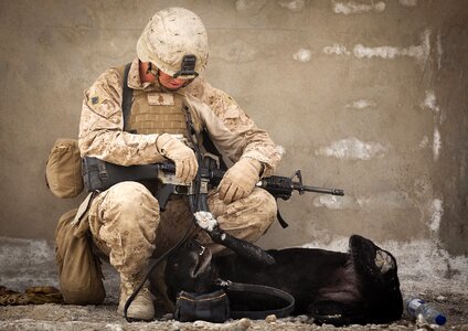 Soldier playing companion