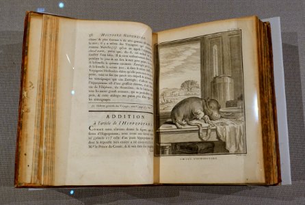 Quadrupedes, 2 of 2, in the Histoire naturelle, generale et particuliere, by George-Louis Leclerc Comte de Buffon, 1777-1789 AD, gift of Alexander Siebold - Tokyo National Museum - Tokyo, Japan - DSC09107