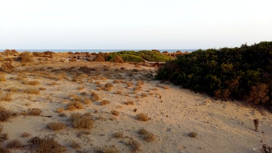 Punta entinas dunas
