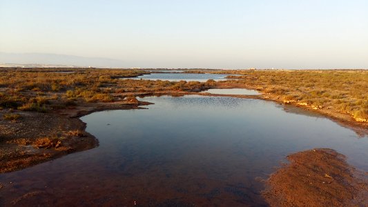 Punta entinas charcon
