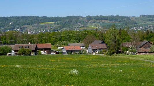 Puppikon von Süd