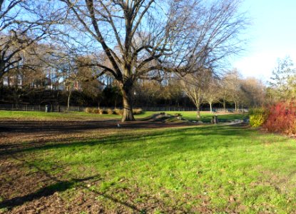 Queen's Park, Brighton (January 2014) (3)