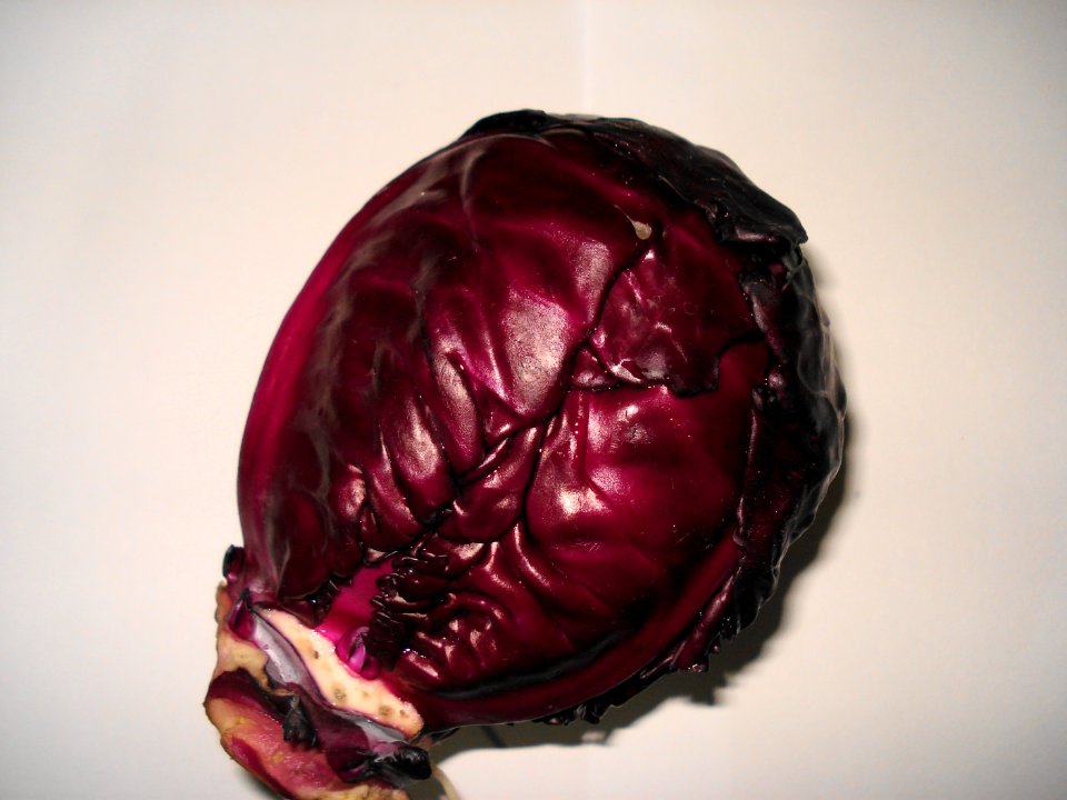 Purple Cabbage