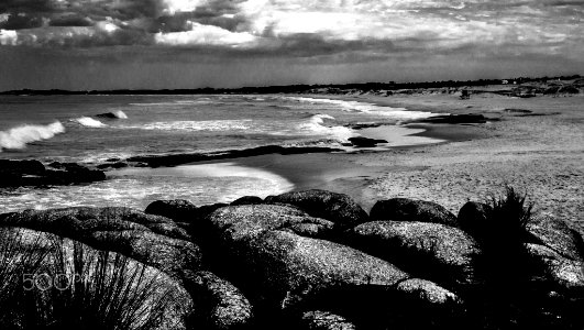 Punta Del Diablo (206478343)