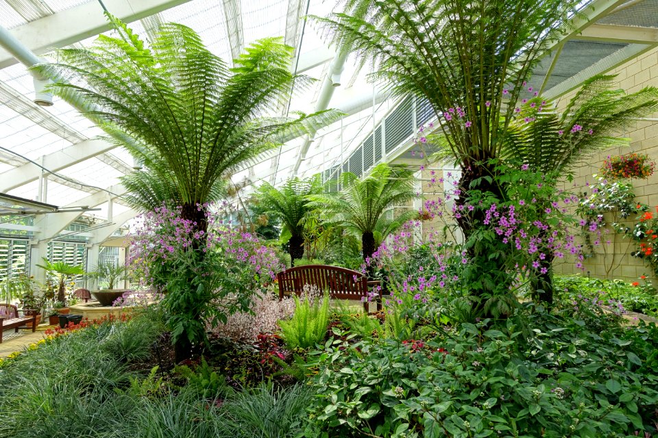 Queen Elizabeth Temperate House - Savill Garden - Windsor Great Park, England - DSC06124
